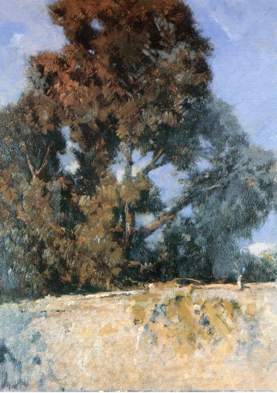 1953 - Il muro del bosco